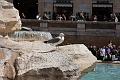 Roma - Fontana di Trevi - 13